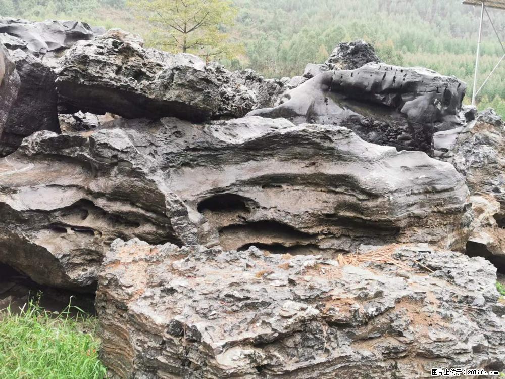 风景石、假山石大量有货，有需要的欢迎联系 - 新手上路 - 海西生活社区 - 海西28生活网 hx.28life.net