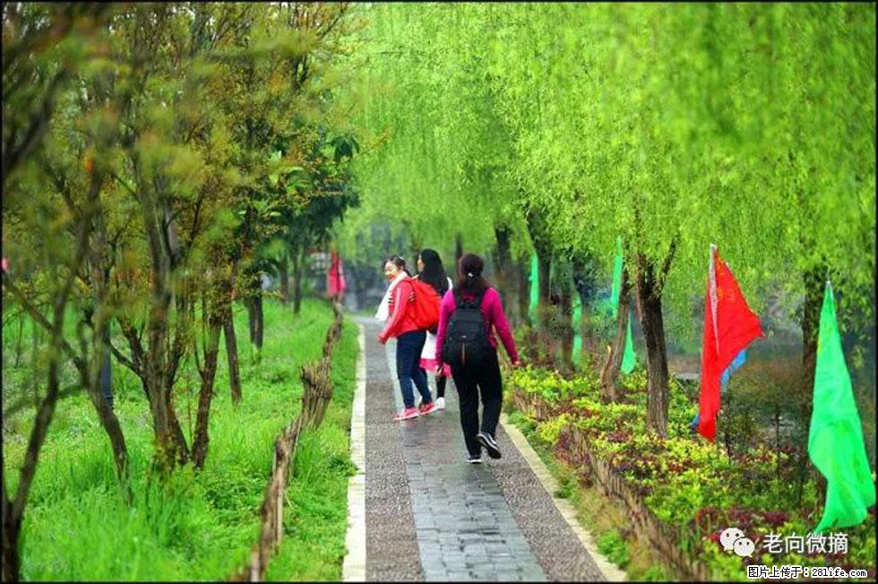 【春天，广西桂林灌阳县向您发出邀请！】江口老街又逢春 - 游山玩水 - 海西生活社区 - 海西28生活网 hx.28life.net