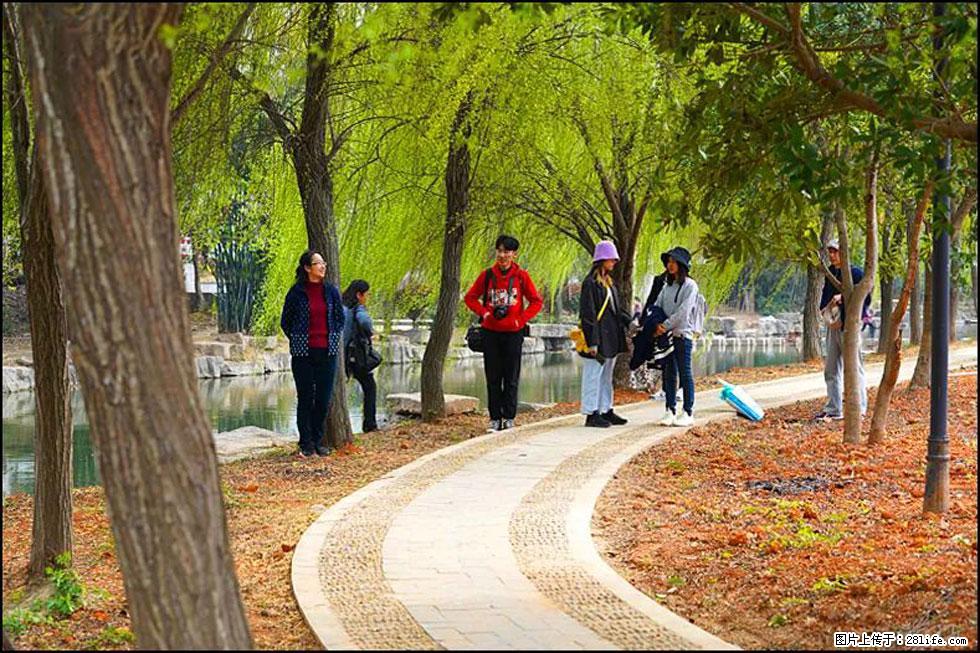 【春天，广西桂林灌阳县向您发出邀请！】江口老街又逢春 - 游山玩水 - 海西生活社区 - 海西28生活网 hx.28life.net