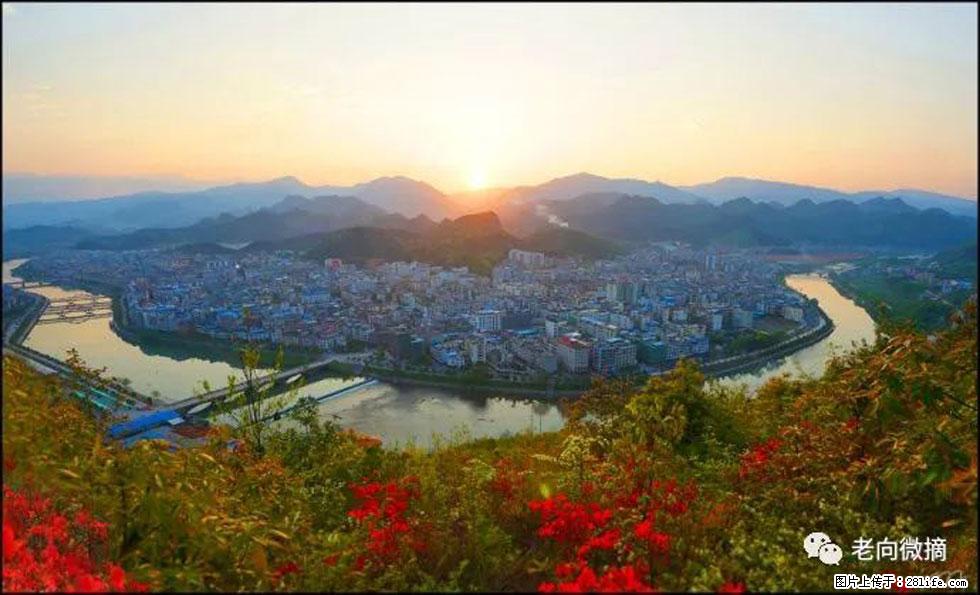 【春天，广西桂林灌阳县向您发出邀请！】登麒麟山，相约映山红 - 游山玩水 - 海西生活社区 - 海西28生活网 hx.28life.net