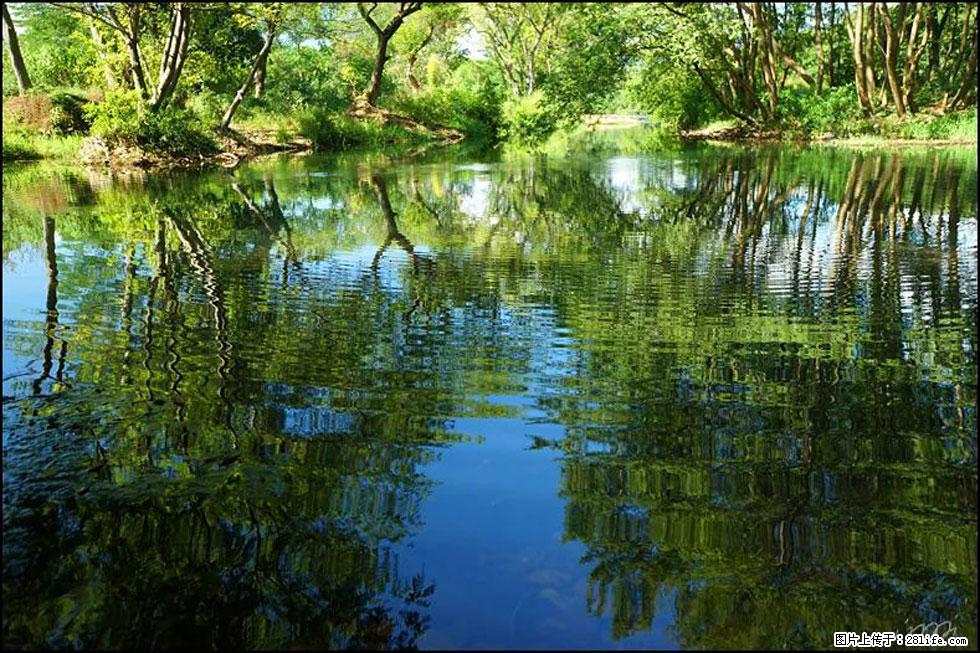 【春天，广西桂林灌阳县向您发出邀请！】熊家寨湿地公园 - 游山玩水 - 海西生活社区 - 海西28生活网 hx.28life.net