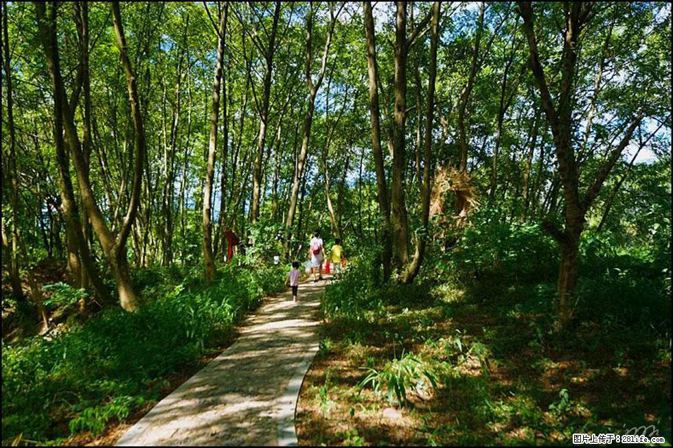 【春天，广西桂林灌阳县向您发出邀请！】熊家寨湿地公园 - 游山玩水 - 海西生活社区 - 海西28生活网 hx.28life.net