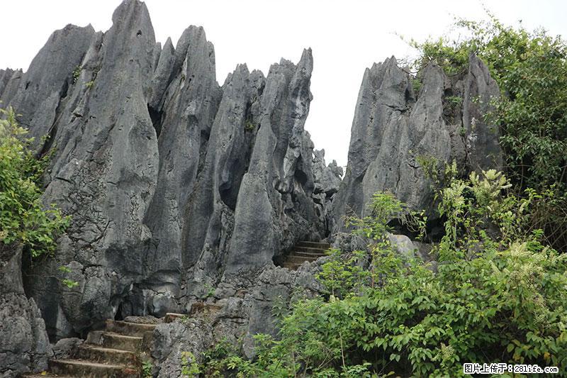 桂林旅游名城景点：灌阳文市石林 - 游山玩水 - 海西生活社区 - 海西28生活网 hx.28life.net