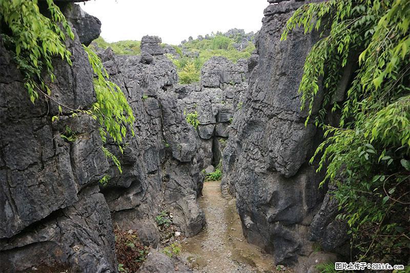 桂林旅游名城景点：灌阳文市石林 - 游山玩水 - 海西生活社区 - 海西28生活网 hx.28life.net