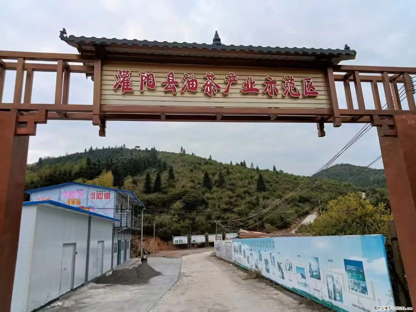 【灌阳县油茶产业示范区】一个有着充实的精神生活的人，对待身外之物自会有一种淡泊的态度 - 土特产 - 饮食特产 - 海西分类信息 - 海西28生活网 hx.28life.net