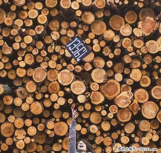辞掉工作周游世界？现在他们在洗厕所…… - 游山玩水 - 海西生活社区 - 海西28生活网 hx.28life.net