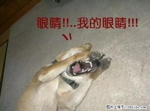 笑癫了！一女的怀孕三年未生，他终于忍不住了... - 娱乐八卦 - 海西生活社区 - 海西28生活网 hx.28life.net