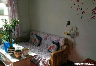 (单间出租)丽苑小区 1室1厅1卫 合租男女不限 - 海西28生活网 hx.28life.net