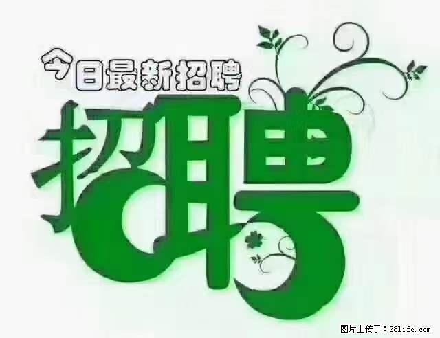 【招聘摄像师】待遇：试用期6000元/月，转正7000元/月+五险一金+餐补+节日福利+奖金 - 职场交流 - 海西生活社区 - 海西28生活网 hx.28life.net