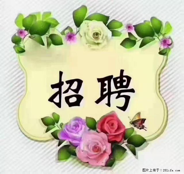 【招聘】住家育儿嫂，上户日期：4月4日，工作地址：上海 黄浦区 - 职场交流 - 海西生活社区 - 海西28生活网 hx.28life.net