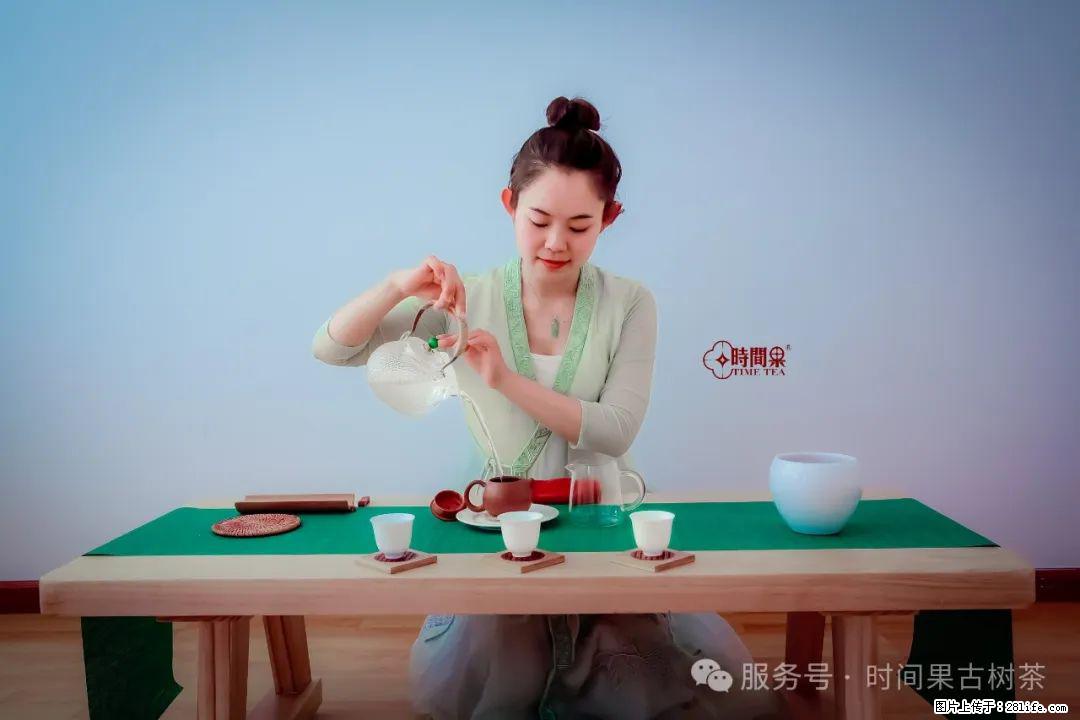 时间果百年古树龙珠普洱生茶 - 购物交流 - 海西生活社区 - 海西28生活网 hx.28life.net