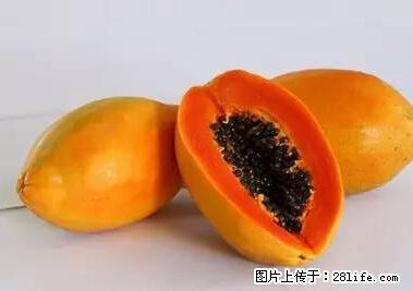 晕车、脚气、牙齿变黄、皮肤粗糙？学会这些三分钟搞定！ - 海西生活资讯 - 海西28生活网 hx.28life.net