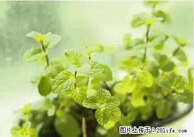 晕车、脚气、牙齿变黄、皮肤粗糙？学会这些三分钟搞定！ - 海西生活资讯 - 海西28生活网 hx.28life.net
