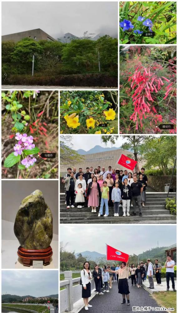 “粤灌文化 美好生活”油茶文化主题活动在广东深圳成功举办 - 海西生活资讯 - 海西28生活网 hx.28life.net