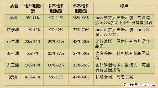 揭秘茶油的5大核心营养成分！被称为人体健康的“守护盾”！ - 海西生活资讯 - 海西28生活网 hx.28life.net