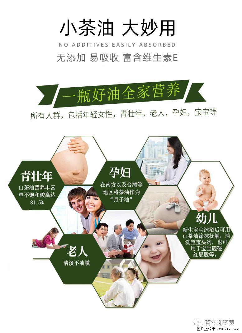 世界没有真相，只有认知，最好的食用油是中国的山茶油！ - 海西生活资讯 - 海西28生活网 hx.28life.net