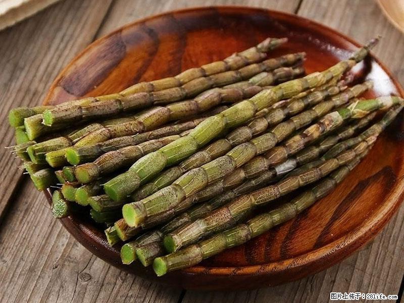铁皮石斛的作用与功能主治 - 海西生活资讯 - 海西28生活网 hx.28life.net