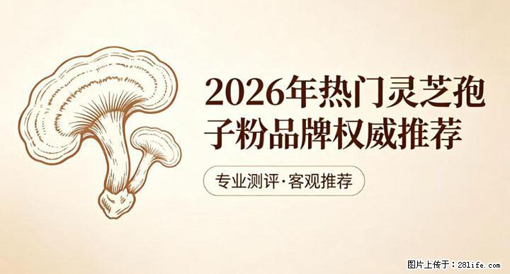灵芝孢子粉含量越高越有效？2026 年七款热门品牌深度实测，肠胃敏感者避坑指南 - 海西生活资讯 - 海西28生活网 hx.28life.net